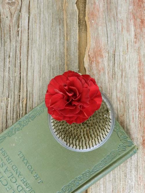 BURGUNDY MINI CARNATIONS